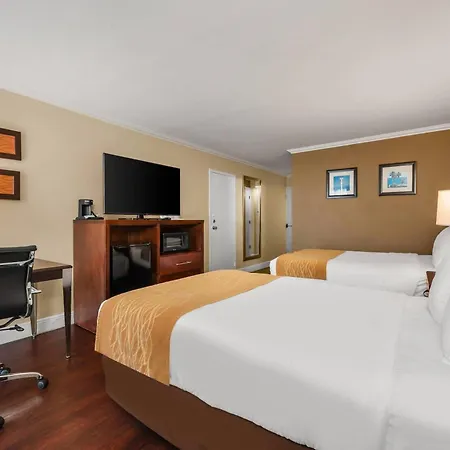 Comfort Inn Oceanside Deerfield Beach-3