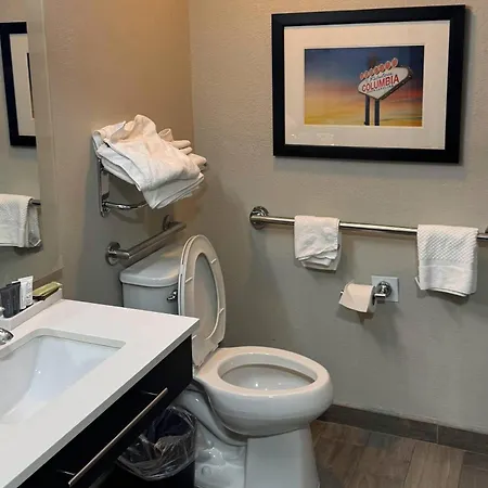 Gallus Stadium Park Inn, An Ascend Collection Hotel-3
