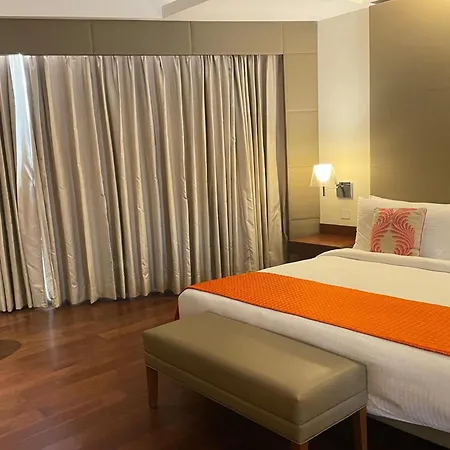 The Anya Hotel Gurgaon - Golf Course Road-2
