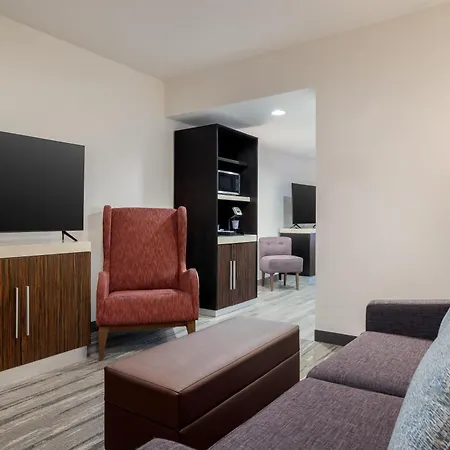 Hilton Garden Inn Las Vegas Strip South-2