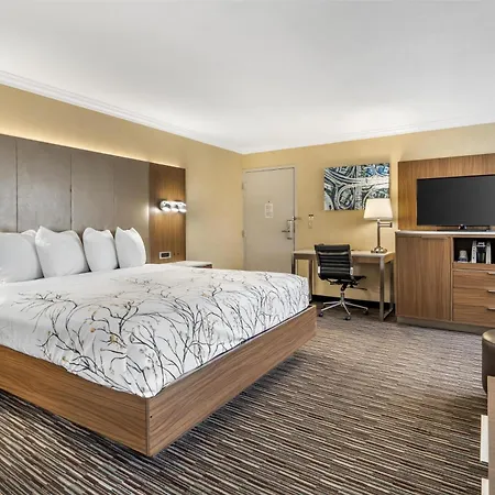 Best Western Airpark Hotel - Lax Airport La Stadium-2