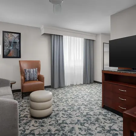Hilton Garden Inn Denver Downtown-3