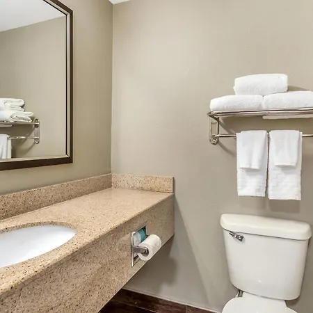 Comfort Inn & Suites North Charleston - Northwoods-2