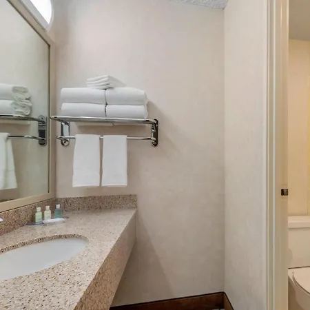 Clarion Hotel Anaheim Resort-2
