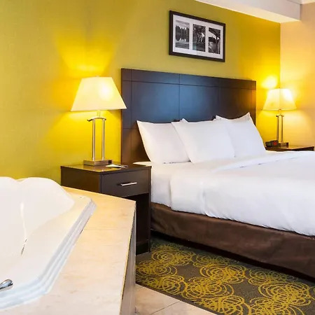 Comfort Hotel & Suites-2