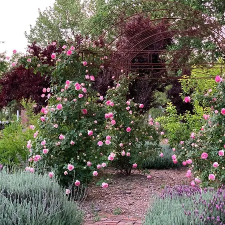 Napa Farmhouse Inn-2
