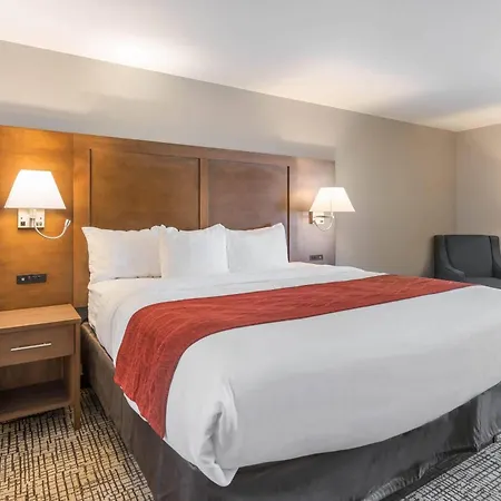 Comfort Inn Grove City - Columbus South-2