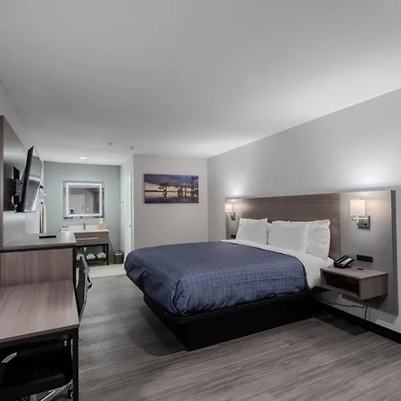 Executive Inn Of Arlington, Near At&T Stadium-2