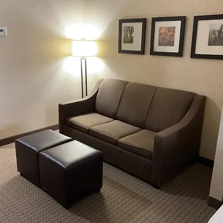 Comfort Suites Hotel And Conference Center-3
