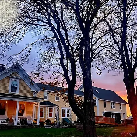 Elmere House Bed & Breakfast-3