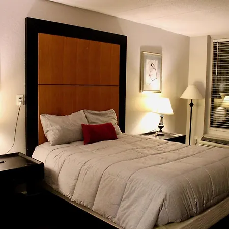 Apm Inn And Suites-3