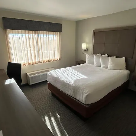 Best Western Plus Paper Valley Hotel-3