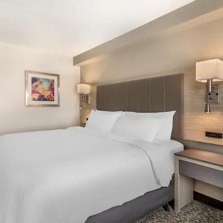 Holiday Inn Knoxville N - Merchant Drive By Ihg-3