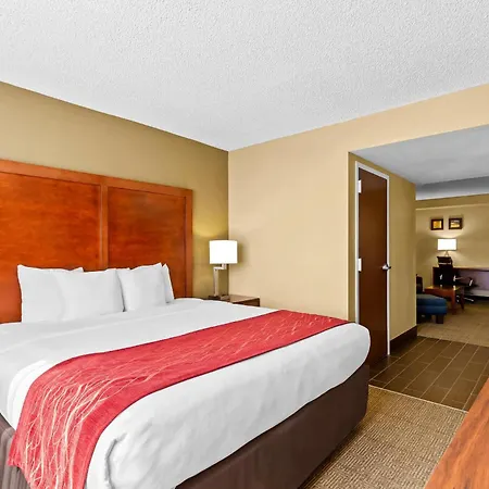 Comfort Inn & Suites Lakeland North I-4-3