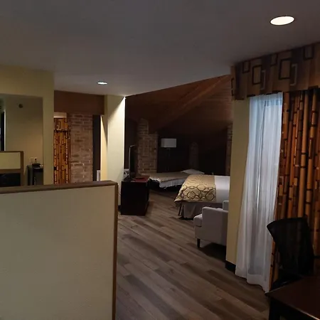 Baymont By Wyndham Battle Creek Downtown-3