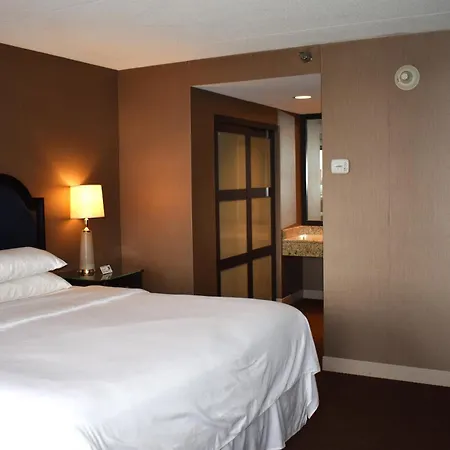 Sheraton Lisle Naperville Hotel-3