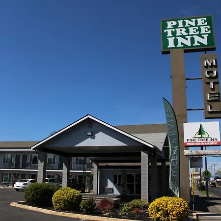 Pine Tree Inn-2