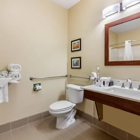 Comfort Inn & Suites Mccomb-2