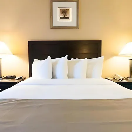 Hotel Solaire Los Angeles-3