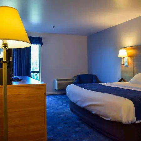 Comfort Inn Bellingham-3
