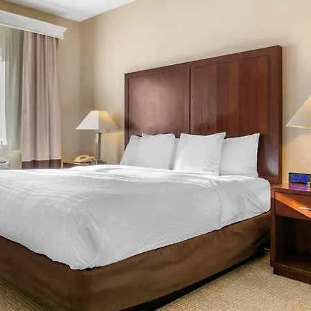 Comfort Inn & Suites Seattle North-3