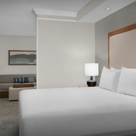 Springhill Suites By Marriott Lynchburg Airport/University Area-2