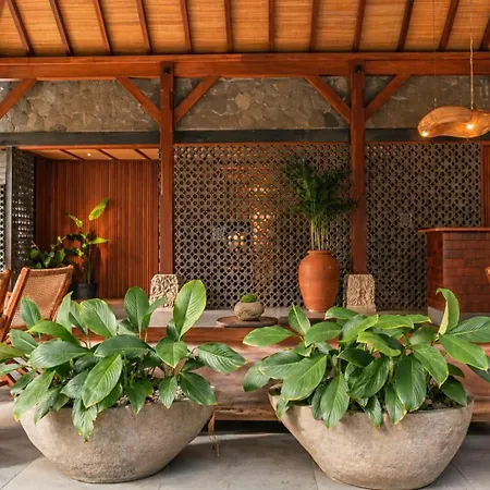 Yulia Village Inn Ubud-3