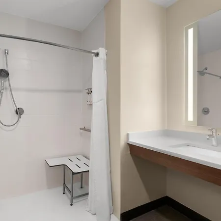 Holiday Inn & Suites Detroit - Troy By Ihg-3