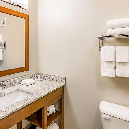 Quality Inn Bessemer I-20 Exit 108-3