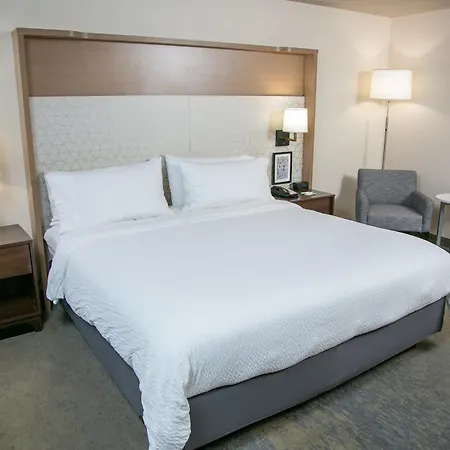 Holiday Inn Metairie New Orleans By Ihg-2
