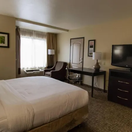 Comfort Inn & Suites San Bernardino-2