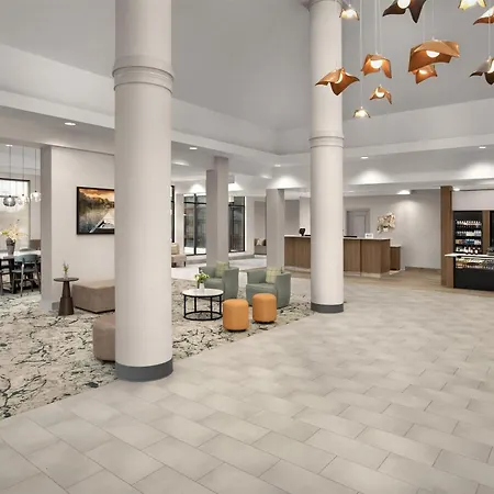 Hilton Garden Inn Dallas Lewisville-2
