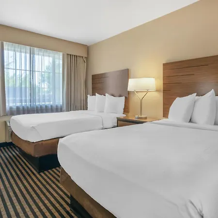 Best Western Town House Lodge-3