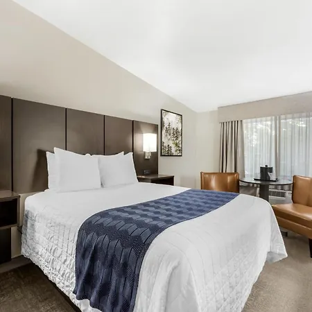 Best Western New Oregon Motel-3