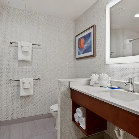 Holiday Inn Express & Suites Orlando- Lake Buena Vista By Ihg-3