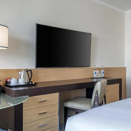 Hilton Geneva Hotel And Conference Centre-3