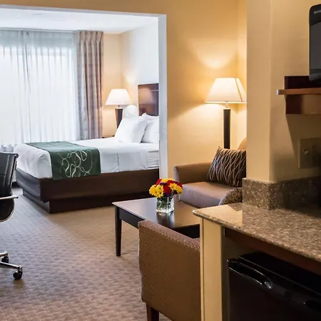 Comfort Suites University Area Notre Dame-South Bend-3