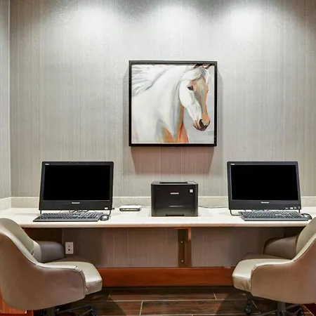 Springhill Suites Denver At Anschutz Medical Campus-3