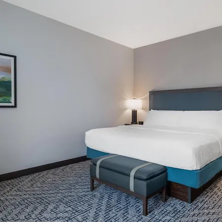 Hampton Inn & Suites - Roanoke-Downtown, Va-2