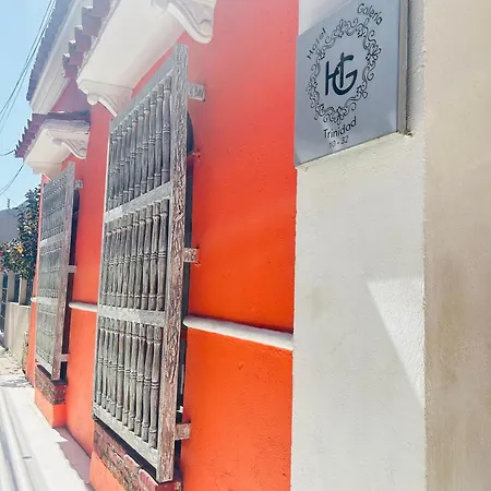 Hotel Galeria La Trinidad-3