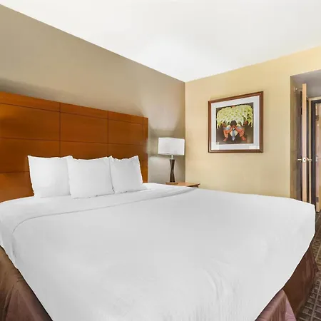 Best Western Plus Scottsdale Thunderbird Suites-2