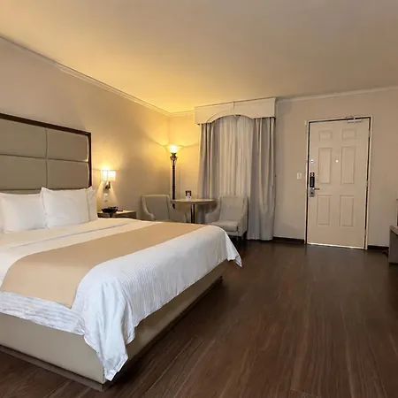 Safi Royal Luxury Centro-3