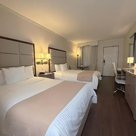 Safi Royal Luxury Centro-2