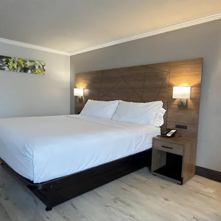 Wyndham Garden Summerville-3
