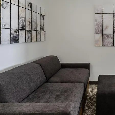 Springhill Suites By Marriott Colorado Springs South-2
