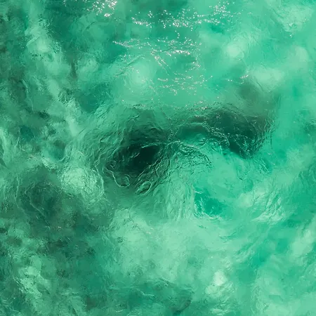 Delek Tulum-2