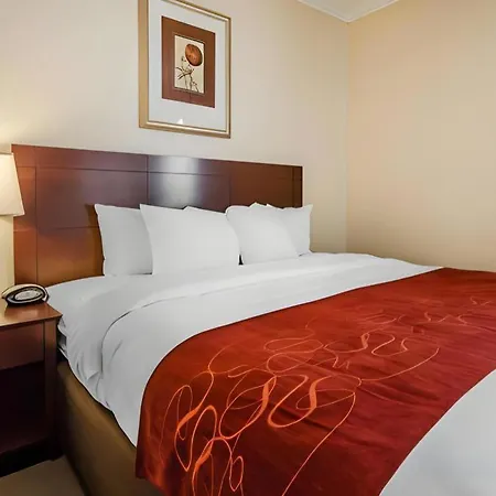Quality Suites Jeffersonville - Louisville North-2