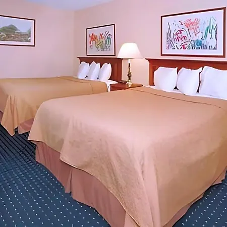 Cerulean Hotel-3