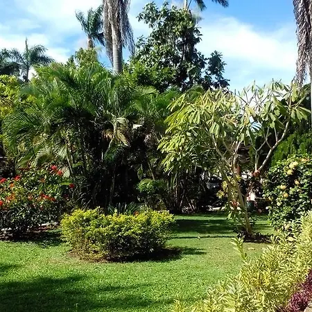 Pure Garden Resort Negril-2