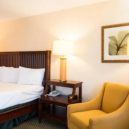 Quality Inn Tampa-3